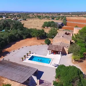 https://sa-torra-den-piza.balearic-islands.net
